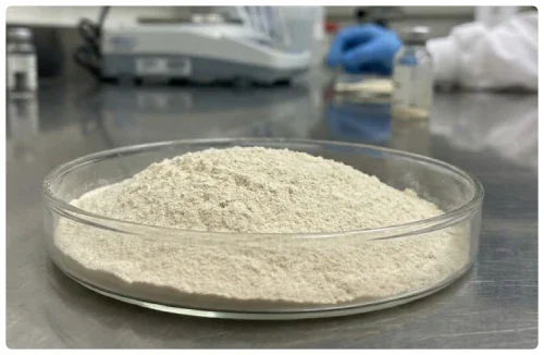 Pale enzyme powder in a laboratory dish, representing the BioFresh Clean Complex blend in DentaBiome